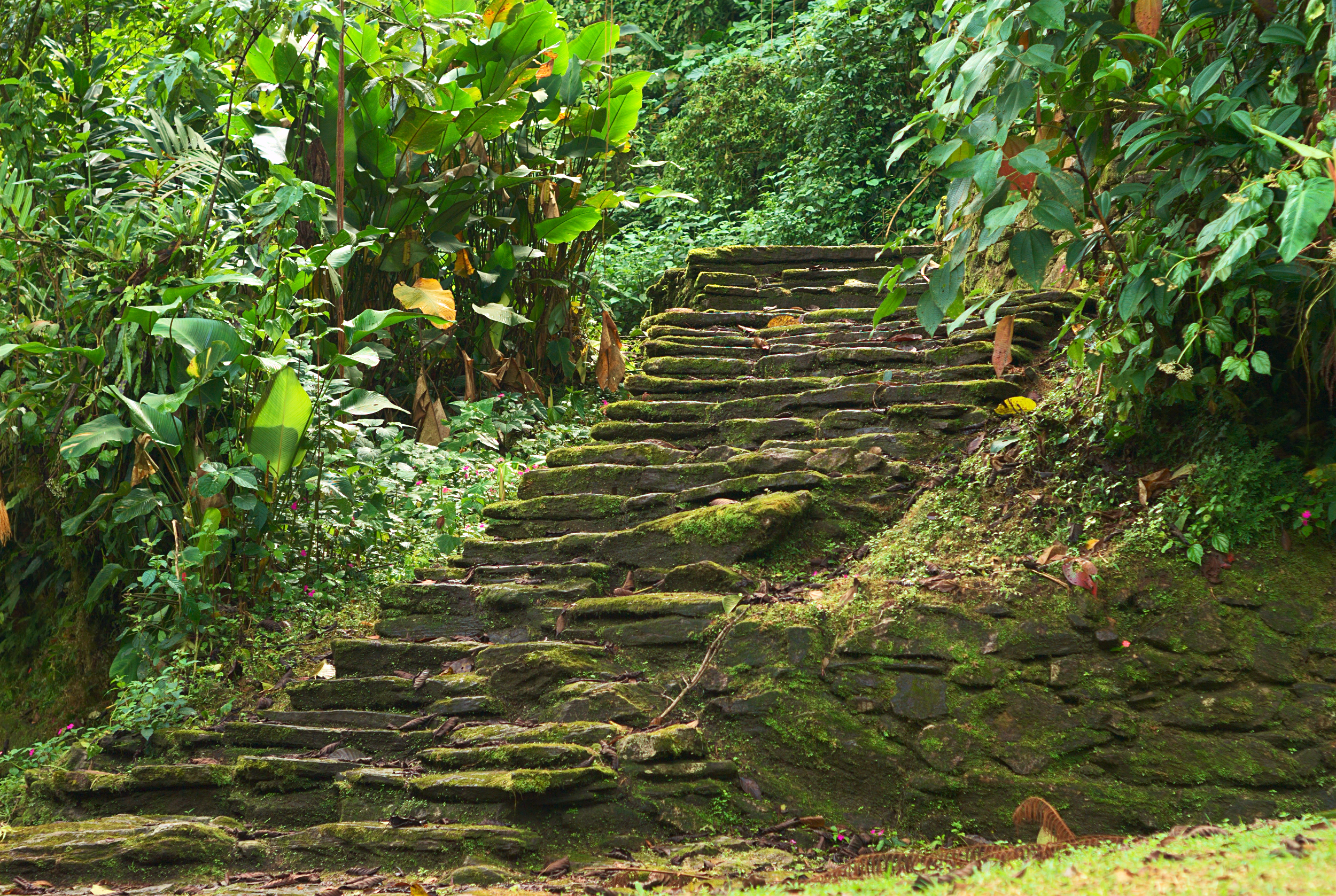 Old,Stone,Stairs,In,Ciudad,Perdida,(lost,City),,Built,By