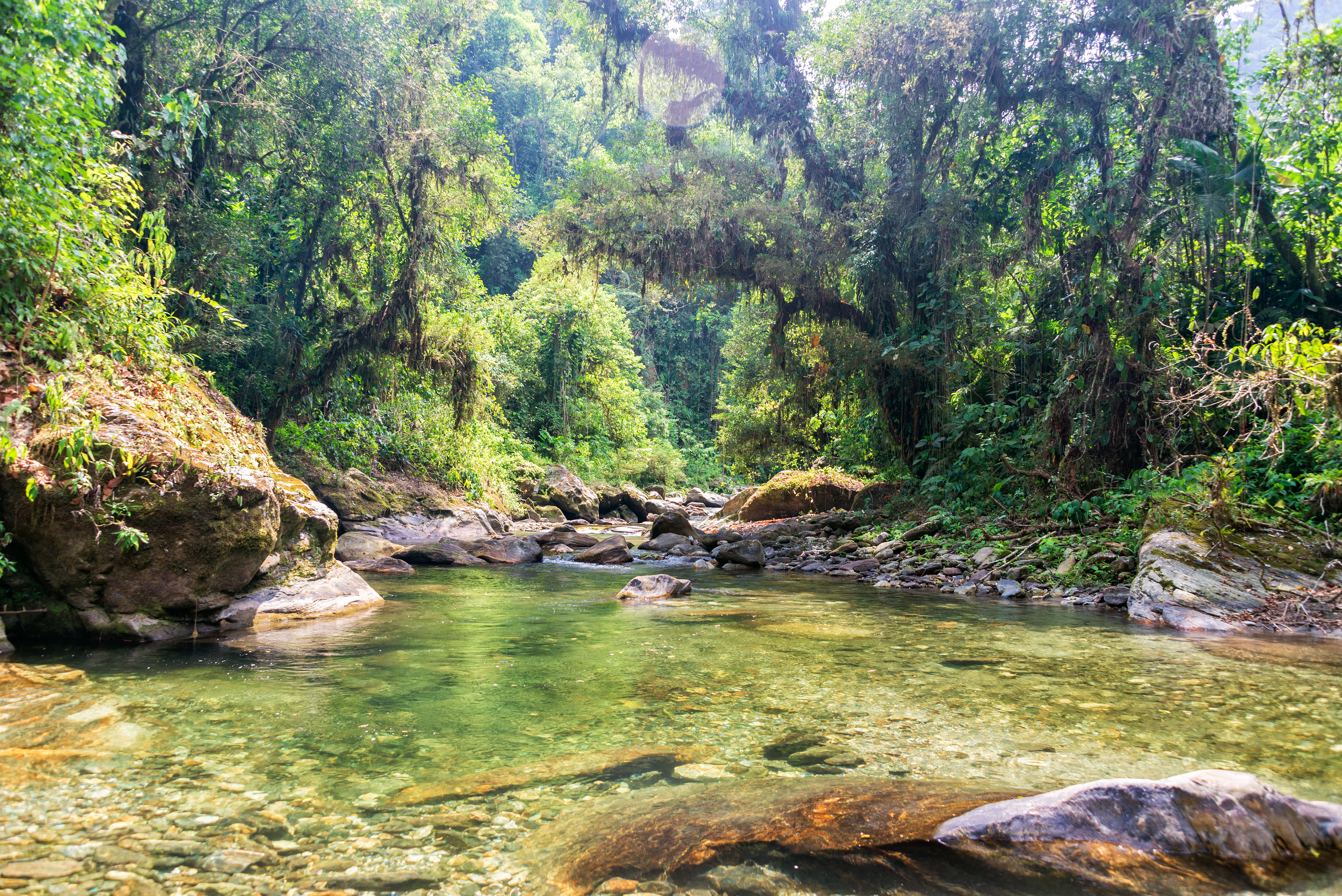 River,Running,Through,The,Jungle,In,The,Sierra,Nevada,De